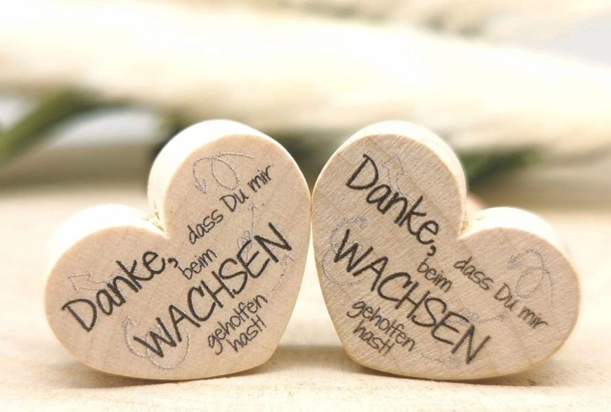 Schlüsselanhänger "Danke, dass du mir beim Wachsen geholfen hast" – Abschiedsgeschenk für Erzieherin, Lehrerin, Kita, Schule - CreativMade