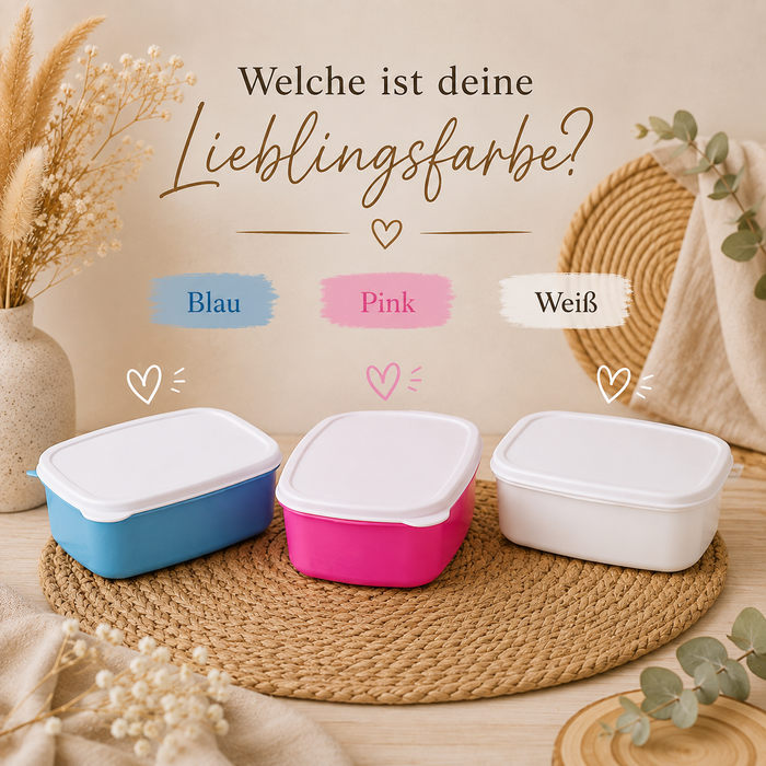 Personalisierte Brotdose mit Namen Kinder | Dinosaurier Jungen | Kindergarten| Schule | CreativMade .