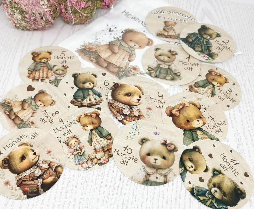 Meilensteinkarten Teddybär Baby Mädchen Set mein erstes Jahr - CreativMade 