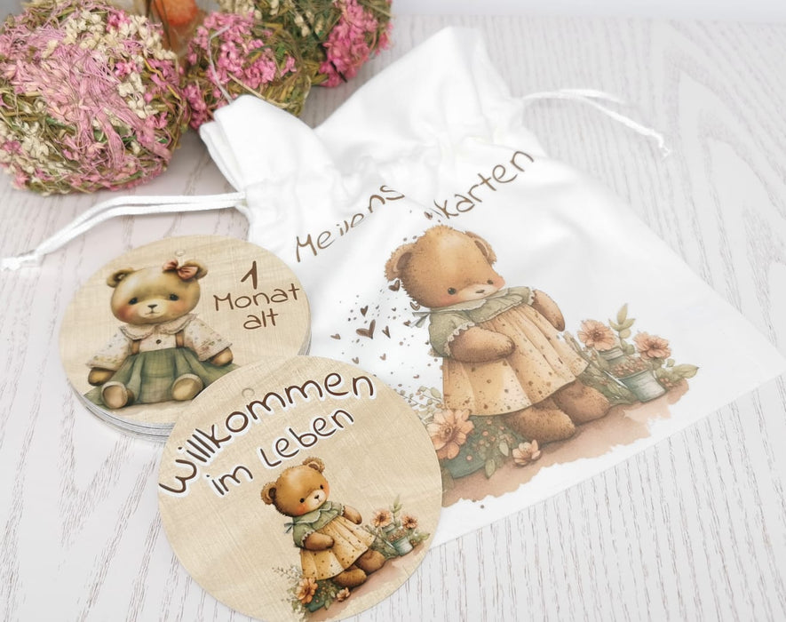 Meilensteinkarten Teddybär Baby Mädchen Set mein erstes Jahr - CreativMade 